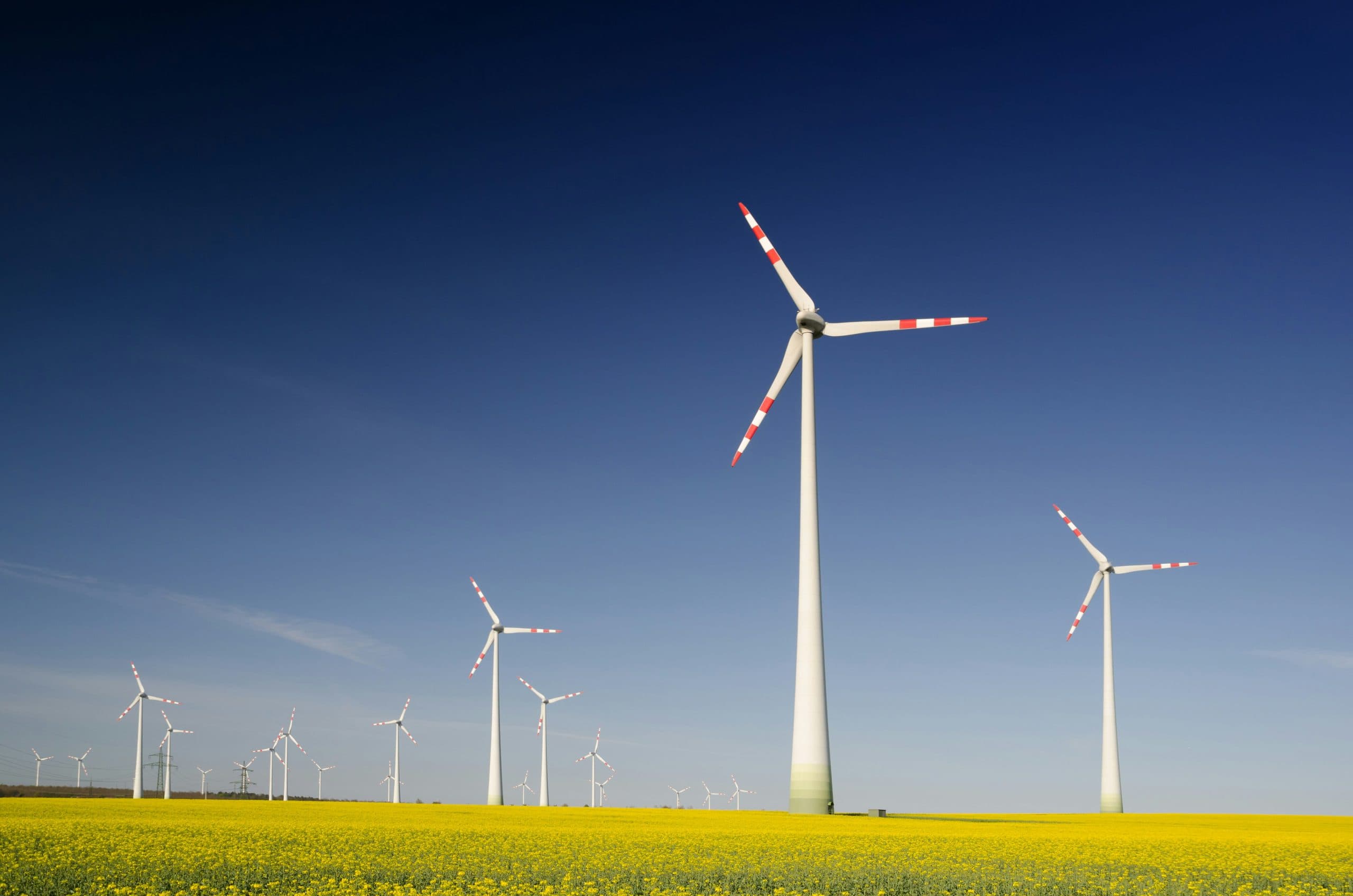 Sustainable Technology for Carbon Capture