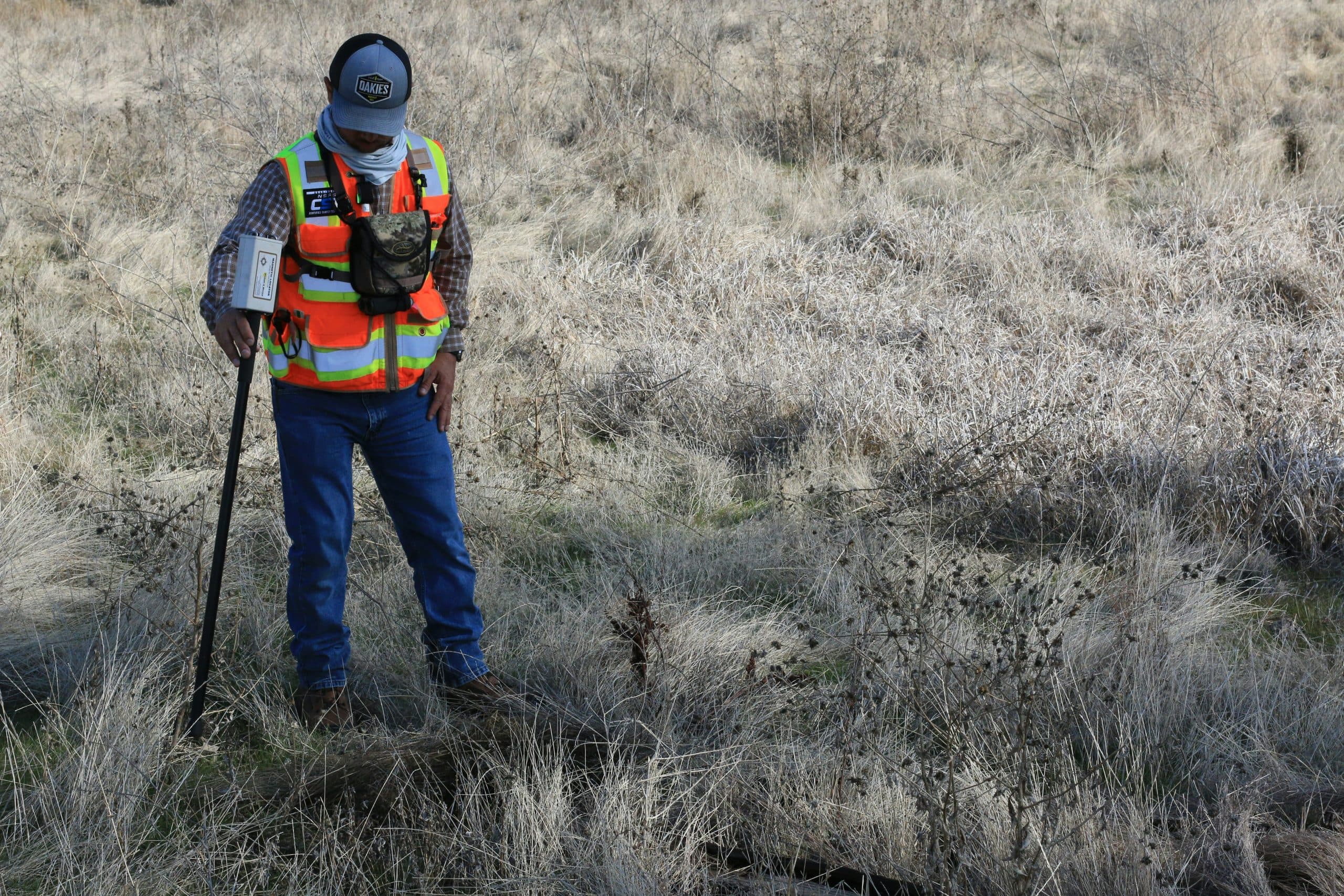 Field-Survey Reporting Application