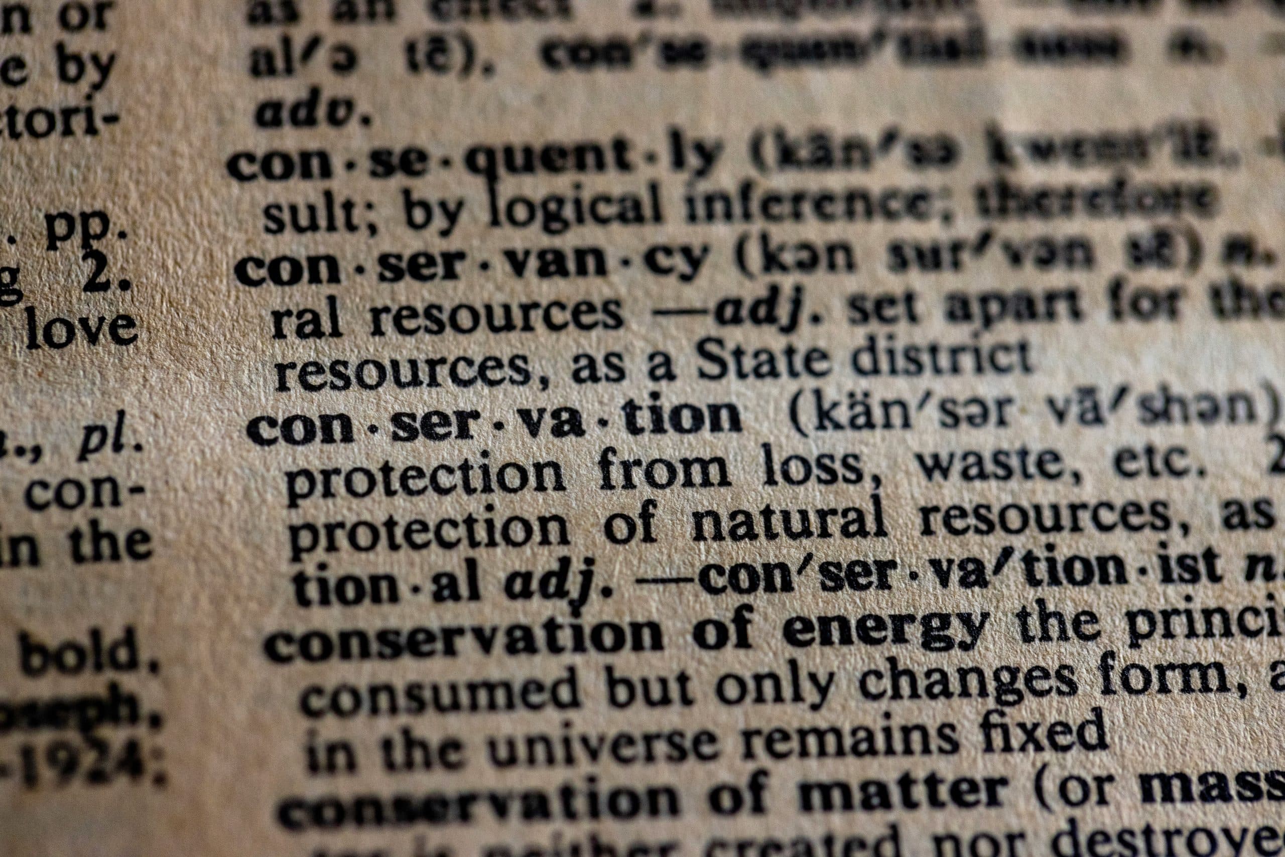 How Natural Language Processing Transforms Customer Service Automation​