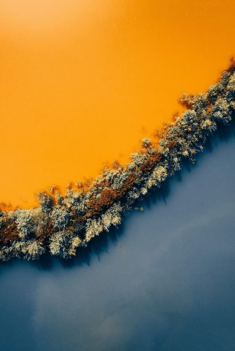 wastewater management system